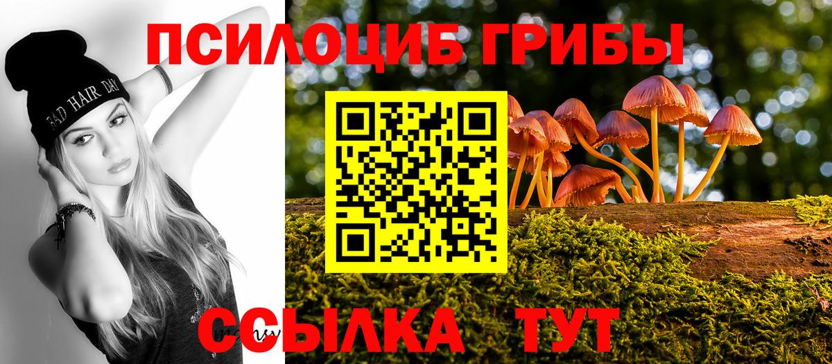 Галлюциногенные грибы MAGIC MUSHROOMS Новочебоксарск