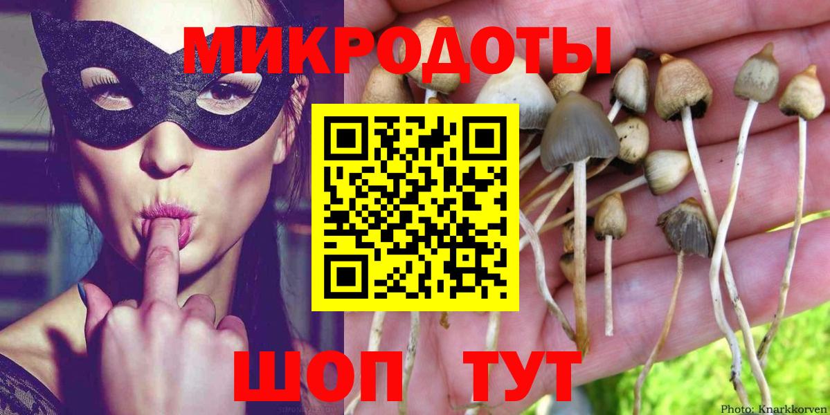 Псилоцибиновые грибы Psilocybine cubensis  Вход с VPN  Новочебоксарск 
